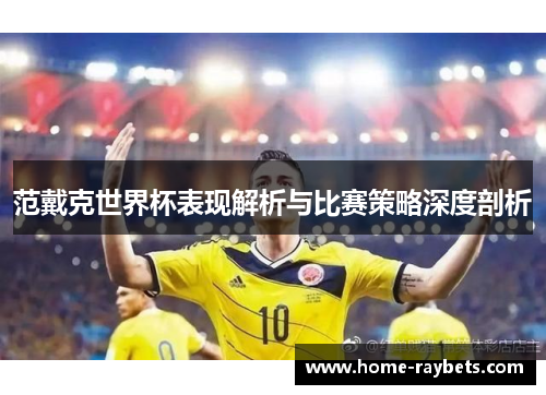 范戴克世界杯表现解析与比赛策略深度剖析
