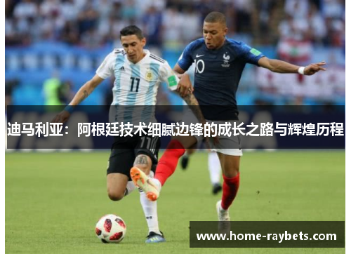 迪马利亚：阿根廷技术细腻边锋的成长之路与辉煌历程